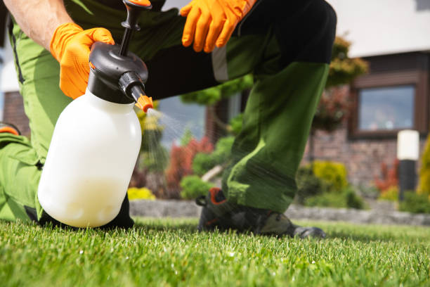 Best Exterminator Services  in Earlington, KY