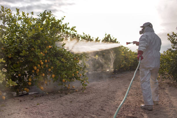 Best Residential Pest Control  in Earlington, KY