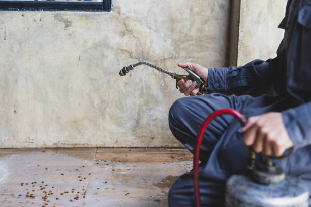 Best Pest Control Treatment  in Earlington, KY
